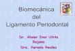 Biomecanica Del Ligamento Periodontal