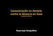 Concentración en Almería contra la masacre en Gaza