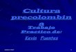 Cultura precolombina por Kevin Fuentes