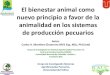 Bienestar animal como principio en agroecosistemas siaf 2011
