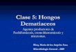 Clase 5 Dematiaceos