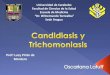 Candidiasis y trichomonas