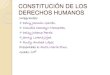 Constitución de los derechos humanos