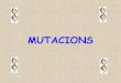 02   les mutacions