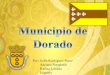 Municipio de Dorado