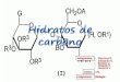 Hidratos de carbono. grupo 5 1ºc