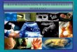 Reproduccion y embriologia por Prof. Lucía Tosolini