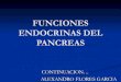Funciones endocrinas del pancreas