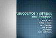 Leucocitos Y Sistema Inmunitario