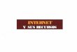 T10 servicios internet