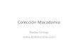 Coleccion Macadamia