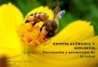 Rinitis alérgica y sinusitis. Promoción y prevención
