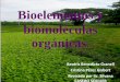 Biomolculas 091016023833-phpapp02