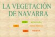 La Vegetación de Navarra