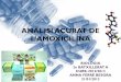 Anàlisi acurat de l’amoxicilina