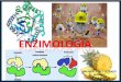 Proteinas enzimología