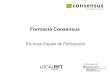 Formació Consensus: Els espais de participació