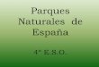 Parques naturales de España
