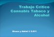 Alvaro aristu trabajo crítico cannabis tabaco y alcohol (2)