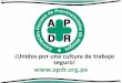 APDR: Asociacion Peruana de Prevencionistas de Riesgos