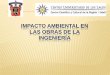 Manuel (impacto ambiental exposicion) (2)