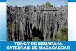 Tsingy de Bemaraha (Madagascar)