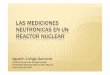 Mediciones Neutrónicas Reactor Nuclear