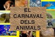 CARNAVAL DELS ANIMALS 2014