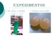 Experimentos del huevo saltarín y del cambio de color de azul a verde