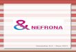 Nefrona project: newsletter 9