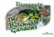 Butchart Gardens Canada