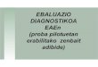 Ebaluazio Diagnostikoa Blogean7