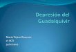 Depresión del guadalquivir