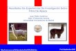Resultados de experiencias de investigación sobre fibra de alpaca