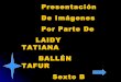 Laidy Tatiana Ballen Del Grado 6 B