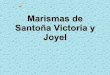 Marismas de santoña victoria y joyel