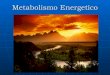 Metabolismo energetico asoc diab t 4 qbp diego arreola