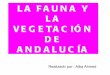 La fauna y la vegetación de Andalucía. Por Alba Ahmed. 5ºb