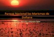 3 Parque Nacional Las Marismas De DoñAna