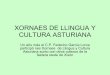 Xornaes de llingua y cultura asturiana