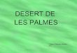 Desert Palmes 09-10