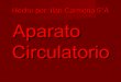 Proyecto Aparato Circulatorio Ilan Carmona