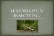 Història d'un  insecte pal