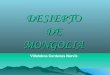 Desierto de mongolia