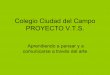 Proyecto  Vts PresentacióN