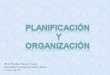 Planificación y Organización - Dominio