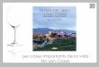Presentacio llibre rutas del vino un viatge per la sensibilitat del sentits. altair 2013