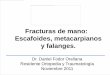 19. seminario fx escafoides, mtc y falanges. df