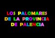 Los  palomares de la provincia de Palencia