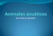 Animales acuaticos